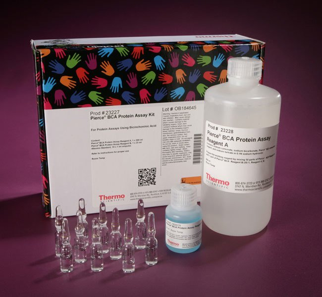 Pierce™ BCA Protein Assay Kit