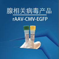 rAAV-CMV-EGFP