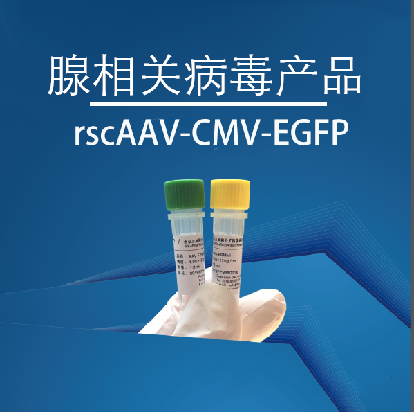 rscAAV-CMV-EGFP