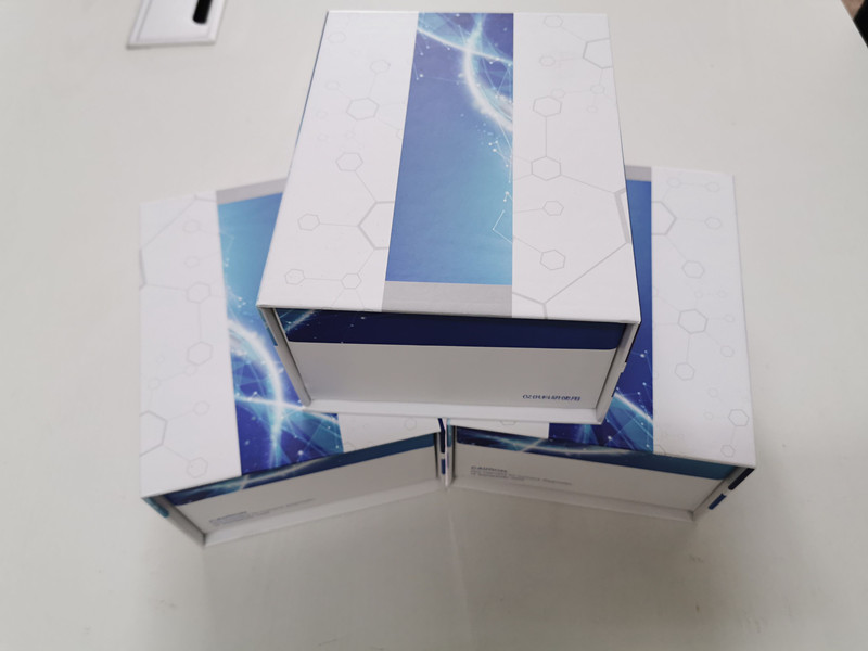 大鼠内皮素-1ELISA试剂盒品牌