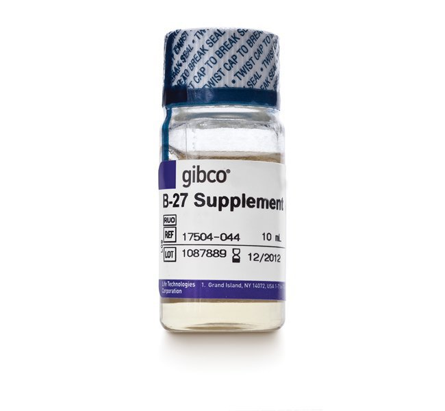 B-27™ Supplement (50X), serum free