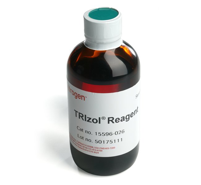 TRIzol™ Reagent