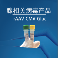rAAV-CMV-Gluc