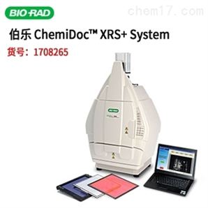 Bio-Rad伯樂ChemiDoc XRS+凝膠成像系統ChemiDoc XRS+代理價格