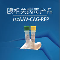 rscAAV-CAG-RFP