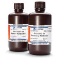 Werstern Blot免疫信号增强试剂