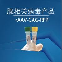 rAAV-CAG-RFP