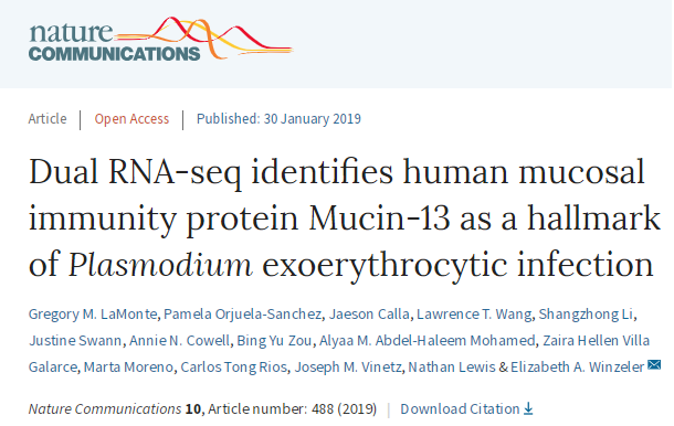 刀尖上跳舞：分享一篇既成功又失败的文章