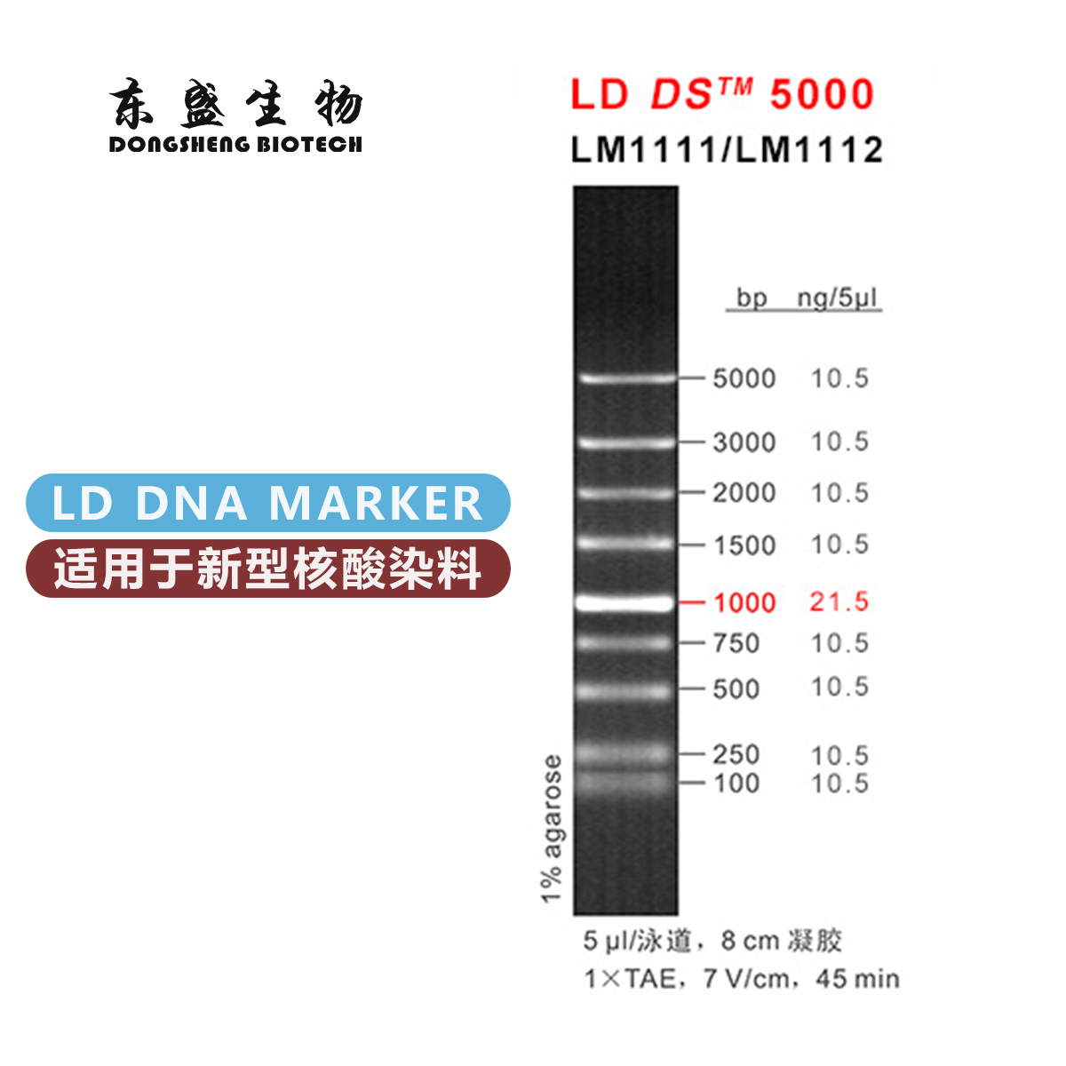 东盛LD DS5000 新型染料专用DNA Marker LM1112