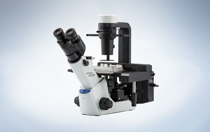 奥林巴斯显微镜CKX53OLYMPUS奥林巴斯显微镜CKX53 【品牌|参数|图片|报价】现货总代理