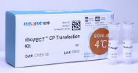 riboFect™ CP转染试剂