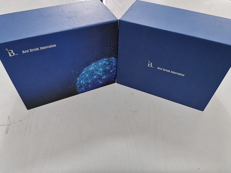 分析-人网膜素ELISA检测试剂盒