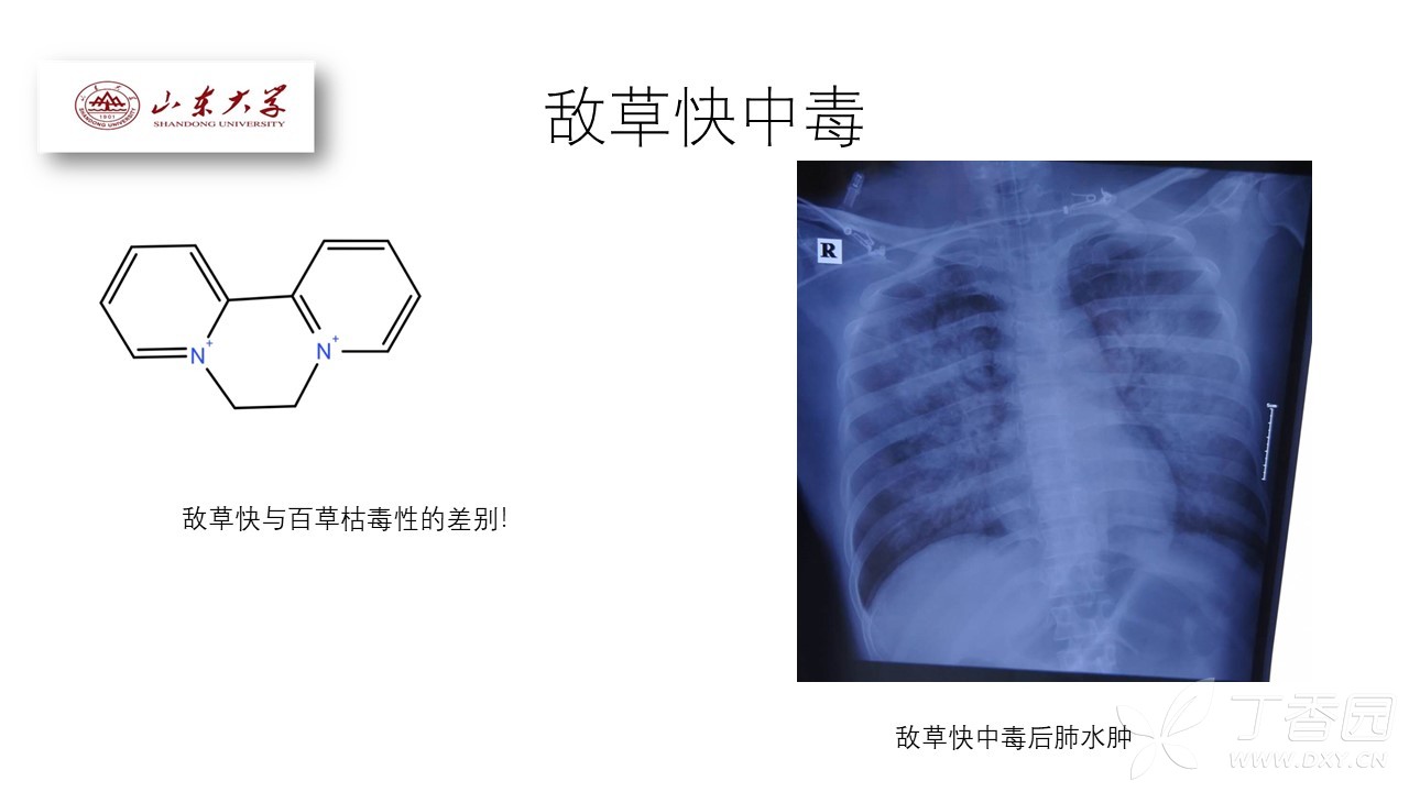 如何去除血液中毒素 3364922332455508124-8w.jpg