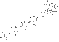 Otophylloside B 4'''-O-α-L-cymaropyranoside171422-82-5品牌