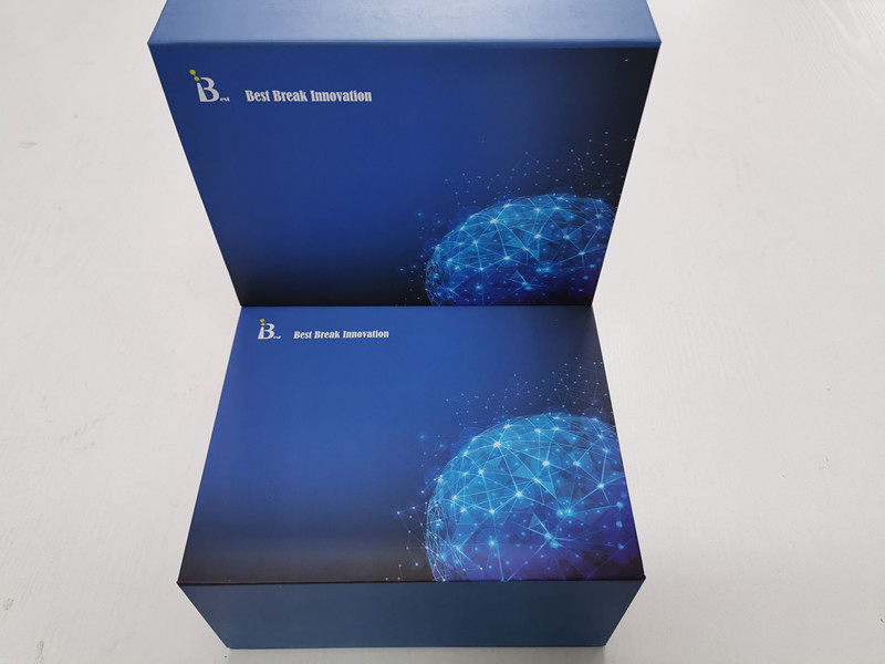 免疫-人乳腺癌标志物ELISA检测试剂盒