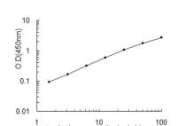 Bovine Glutathione synthetase ELISA Kit