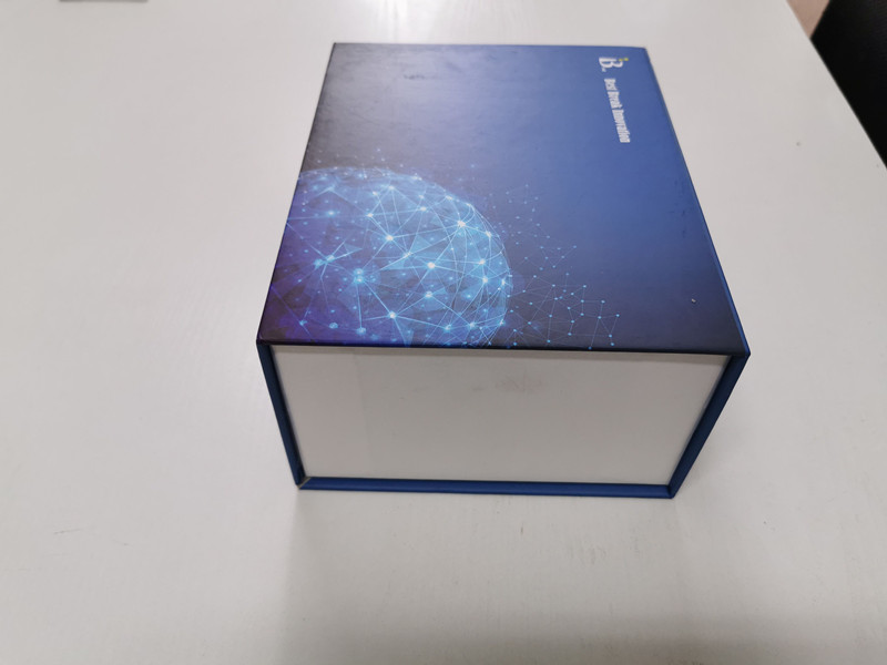 大鼠巨噬细胞炎性蛋白3βELISA试剂盒品牌