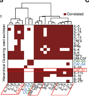 《Cancer Cell》热门解读：杀死肿瘤，可以这样做