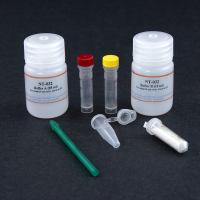 NT-032 Minute™ 新鲜/冷冻组织胞质胞核分离试剂盒