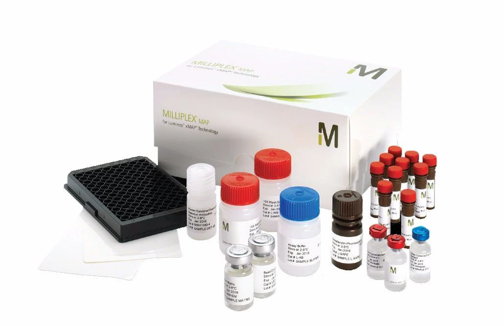 从科学的角度分析我们为什么要健身（全程硬货，必读）