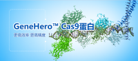 Cas9蛋白
