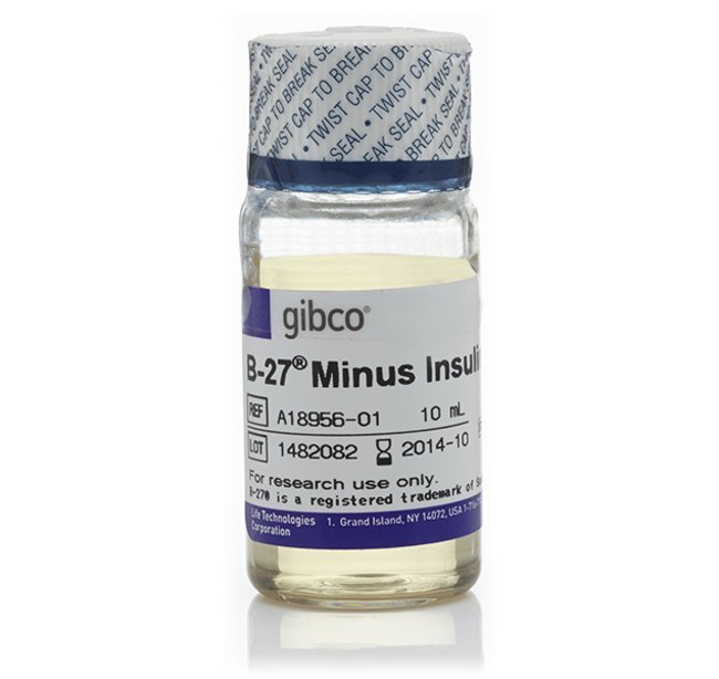 B-27™ Supplement, minus insulin