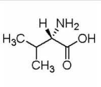 L-缬氨酸