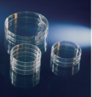 Thermo Scientific™ Nunc™ UpCell™ 表面培养皿174904 174902 174903 174905 174906 Thermo Scientific™ Nunc™ UpCell™ 表面培养皿174904 174902 174903 174905 174906