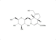 栀子苷、京尼平苷24512-63-8