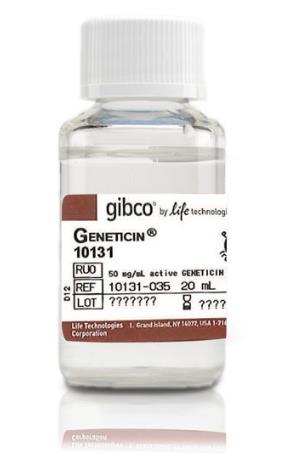 Geneticin™ Selective Antibiotic (G418 Sulfate) (50 mg/mL)