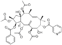 Jatrophane 5210108-89-7价格