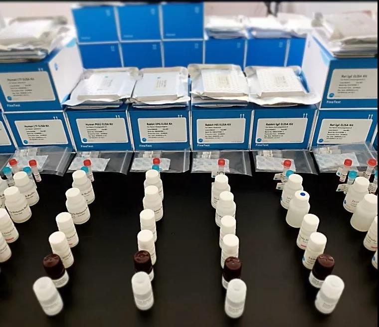 【技术支持】FineTest® ELISA试剂盒质量控制