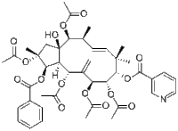 Pepluanin A670257-89-3说明书