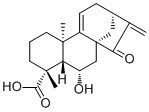 Pterisolic acid B1401419-86-0说明书