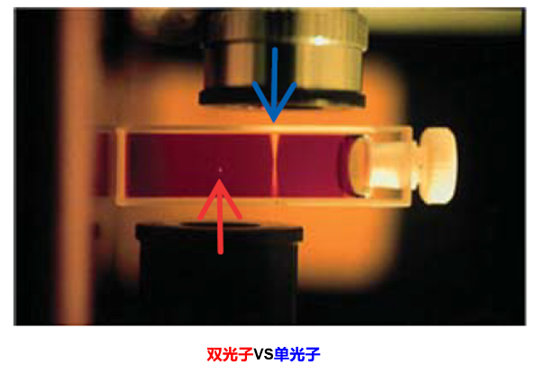 双光子显微切割系统带你领略硬组织切割的高效新玩法