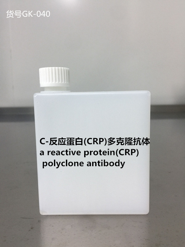 C－反应蛋白（CRP）多克隆抗体