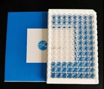 【技术支持】FineTest® ELISA试剂盒质量控制