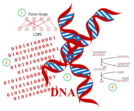 LetPub期刊封面设计师谈如何制作一幅精美的期刊封面 