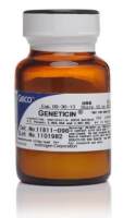 Geneticin™ Selective Antibiotic (G418 Sulfate), Powder