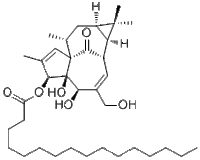 Ingenol 3-palmitate52557-26-3供应