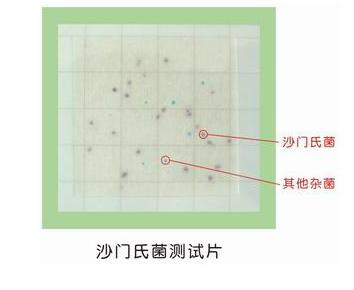 产品细节图片1