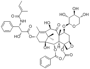 7-Xylosyl-10-deacetyltaxol B90332-64-2价格