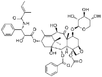 7-Xylosyl-10-deacetyltaxol B90332-64-2价格