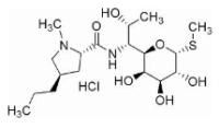 盐酸林可霉素