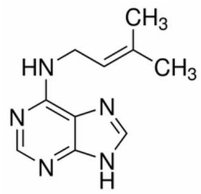 N6-异戊烯基腺嘌呤