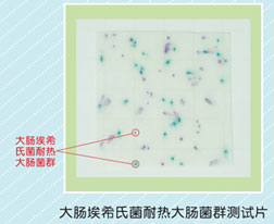 产品细节图片1