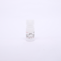 D8220 二硫苏糖醇 DTT 蛋白电泳