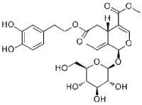 Oleuropein32619-42-4说明书