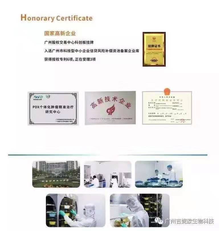 干货分享丨 HBV 动物模型解析