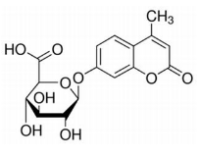 4-甲基伞花基-β-D-葡糖苷酸